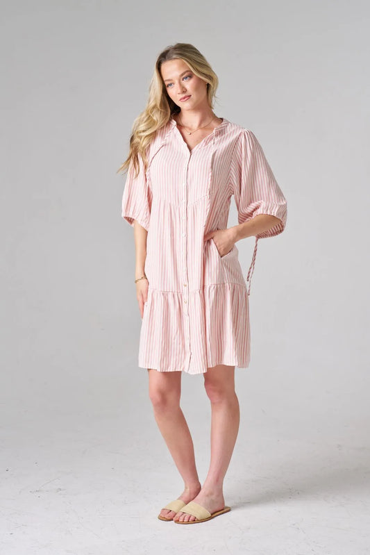 Pink Stripe Button Down Mini Dress
